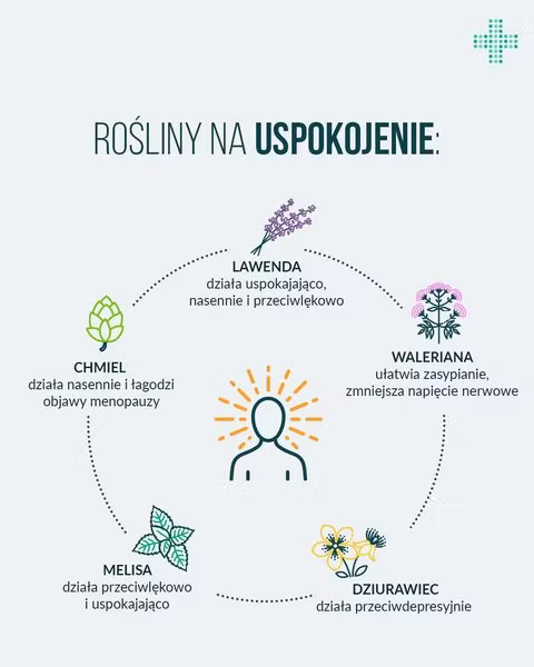 Jak się uspokoić? Można stosować preparaty z wyciągami z ziół uspokajających, jak lawenda, chmiel, melisa.