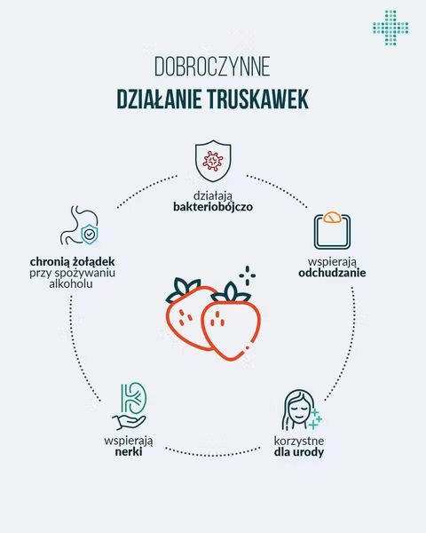 Truskawki są zdrowe. Dlaczego? Truskawki są zdrowe. Dlaczego?